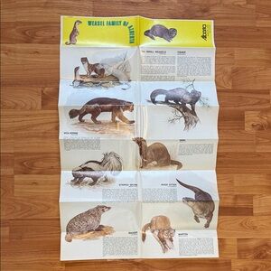Vintage 1970s Weasel Family Poster Brochure WEASEL FAMILY OF ALBERTA